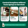 Cedarcide Scorpion Shield (Gallon) Indoor Cedar Oil Pest Control Spray