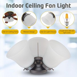 Ciata Modern Ceiling Fan Light Fixture Kit with 3 Frosted Ribbed Glass Bulb Shades and LED Lighting, Energy Efficient, Low Profile Cluster for Bedroom or Living Room - Polished Brass