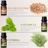 Woody Essential Oils Set, Men Scents Fragrance Oil for Candle