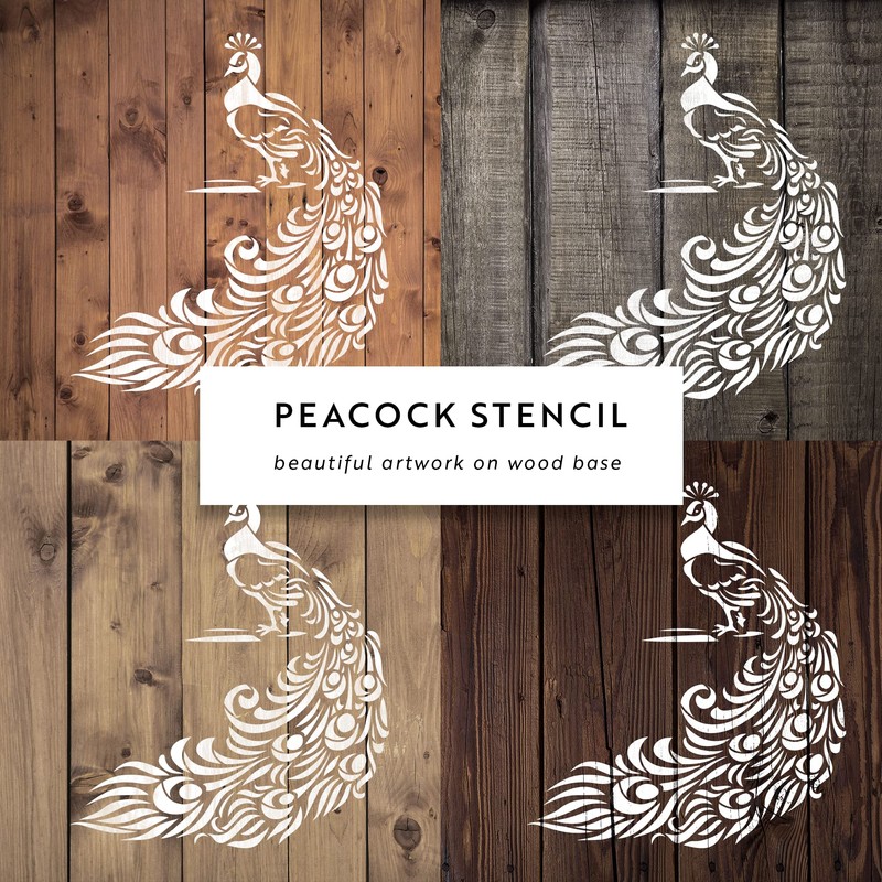Peacock Art Stencil - Peacock Feather Design