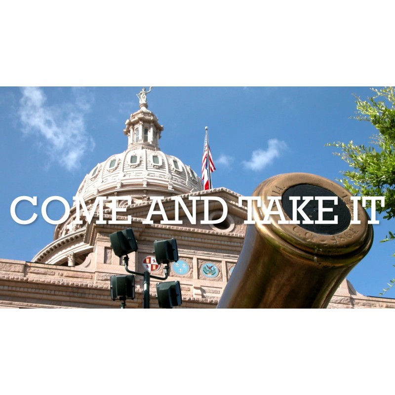 Come and Take It (Rifle) Flag 3x5FT 2-Pack Double-sided Embroidered