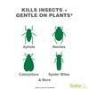 Safer Brand Garden SG5110 Insect Control and Killer Spray –