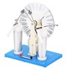 Static Generator, Engine Motor Model Educational Toy Electricity Generator Physics