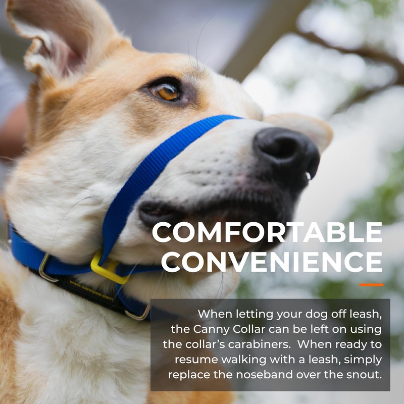 Canny Collar No Pull Dog Head Collar, Lead Training Head
