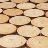 Arteza Wood Slices (45 Pieces) with Bark Natural Unfinished Pine