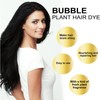 JISKG Beirou Bubble Plant Hair Dye Shampoo, Natural Plant Extract