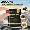 Zooone-Xizhi Lai Pure Himalayan Shilajit Gummies – Natural Energy, Stamina