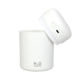 Portable Mini Humidifier 300ml
