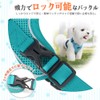 Pet Harness & Leash Set, Dog Harness, Small Dogs, Cats,