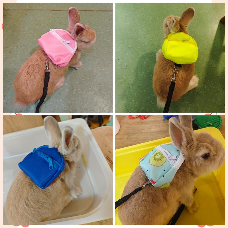 Yanmucy Rabbit Harness and Lead Set with Bag Adjustable Rabbit