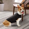 Joyzan Dog Anxiety Jacket, Pet Stress Relief Shirt Warm Calming