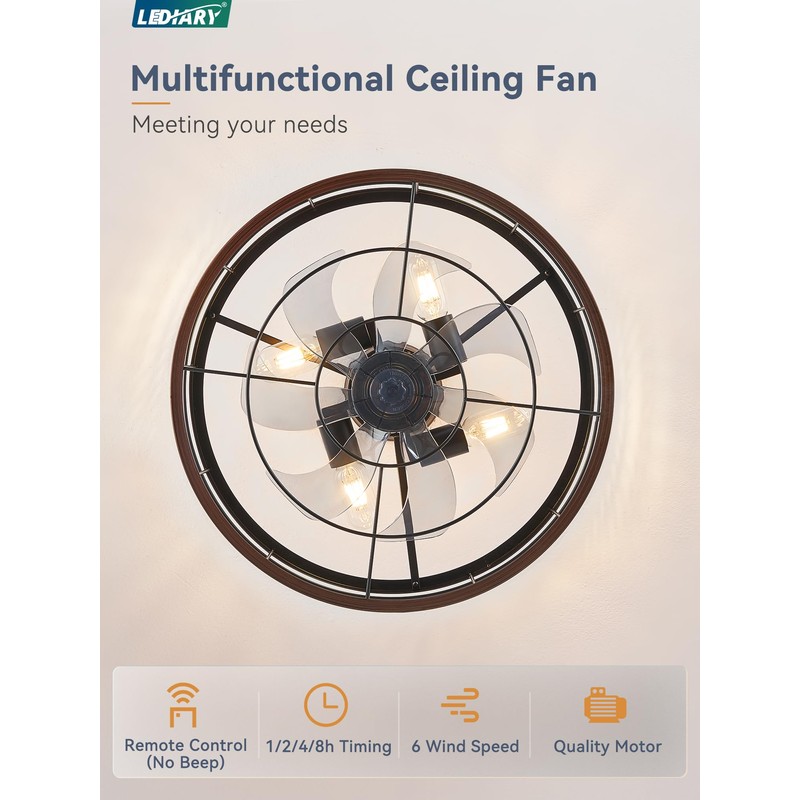 LEDIARY 20 inch Fandelier Caged Ceiling Fan with Light, Bladeless