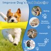 BELEFU 2 Pack Tug of War Dog Toy, Interactive Dog