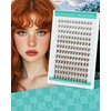 Brown Cluster Lashes Individual Eyelashes 144pcs Lashes Cluster Wispy 8-12mm