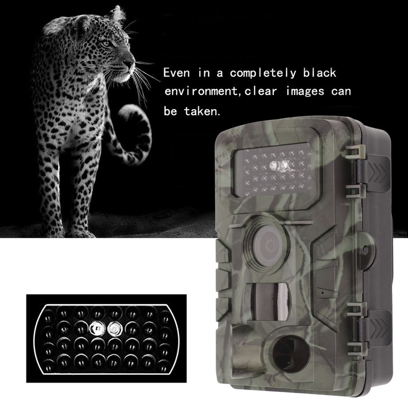 PR700 Trail Camera HD Infrared Waterproof Wildlife Surveillance Camera for