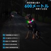 Kpuplol Luminous Collar, Dog, 12 Lighting Modes, Dogs, LED Collar,