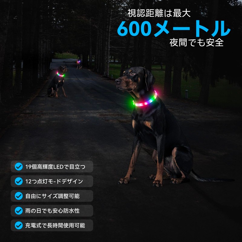 Kpuplol Luminous Collar, Dog, 12 Lighting Modes, Dogs, LED Collar,