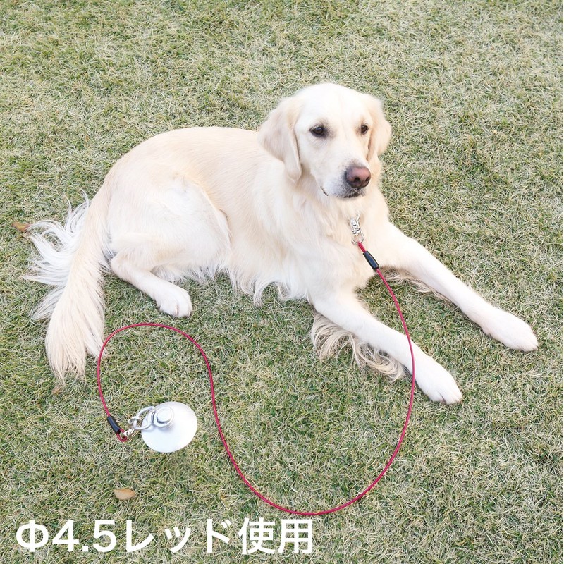 Petio Tough Gear Wire Chain Plus Red for Medium Dogs