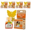 Bokini Netherlands Fruit Fly Trap, 8g, 5 pieces