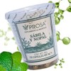 Suplemento De Sábila Y Nopal Prose By Gaero Shop |