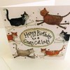 Alex Clark Crazy Cat Lady Birthday Card