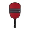 JOOLA Agassi Champion Pickleball Paddle 12mm Agassi Shape with Extended