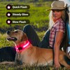 Light Up Dog Collar for Night Walking Flashing, LED Dog