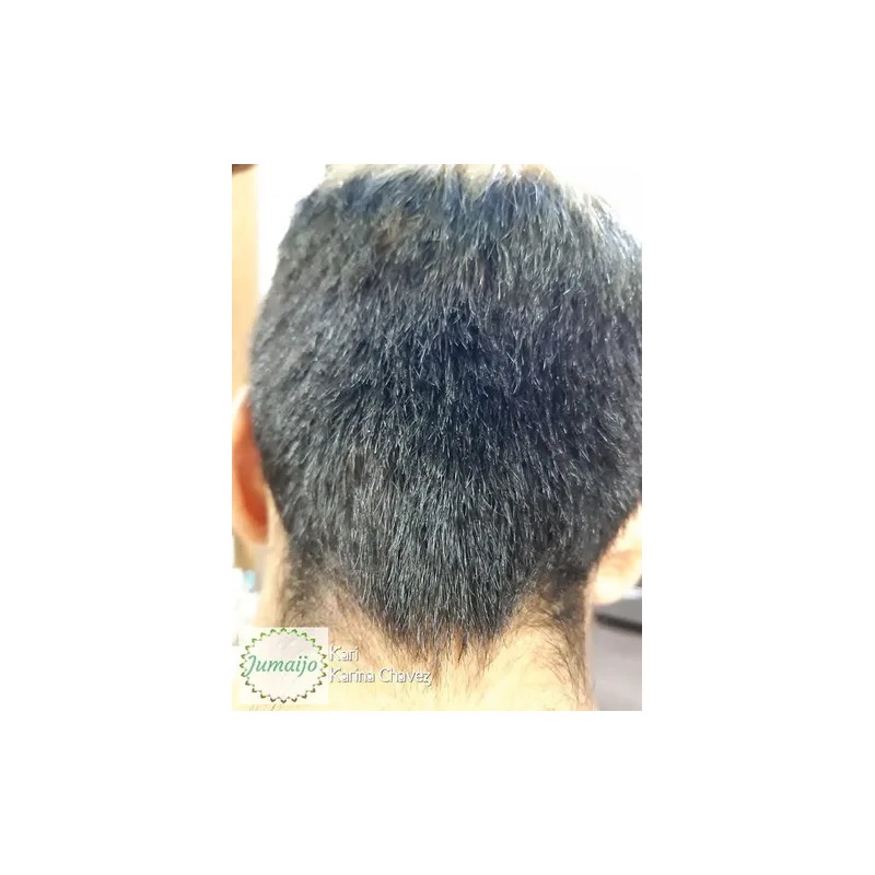 Shampoo Jumaijo Jengibre, Romero, Sábila 500 Ml Anticaída