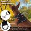 Meifsou Dog Harness and Leash Set, Small Sized No Pull