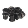 Race Face Outer Chainring Bolts, set/10 - Silver