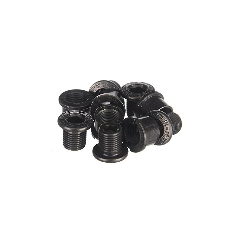 Race Face Outer Chainring Bolts, set/10 - Silver