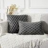 Yaertun Pack of 2 Super Soft Cozy Decorative Throw Pillow