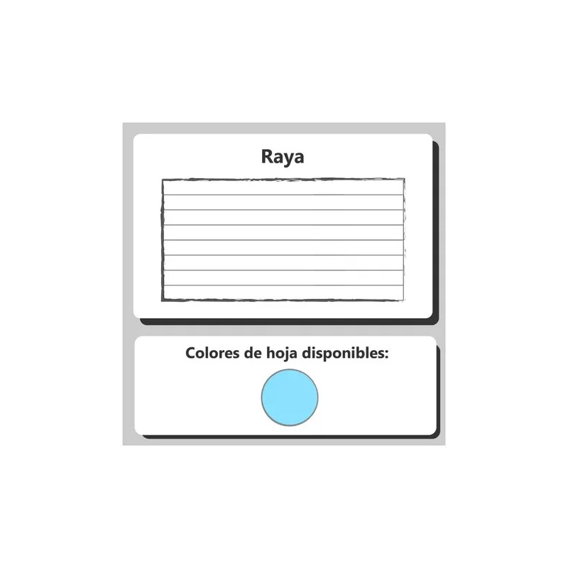 Libreta Cuaderno Profesional Pasta Dura 100 Hojas