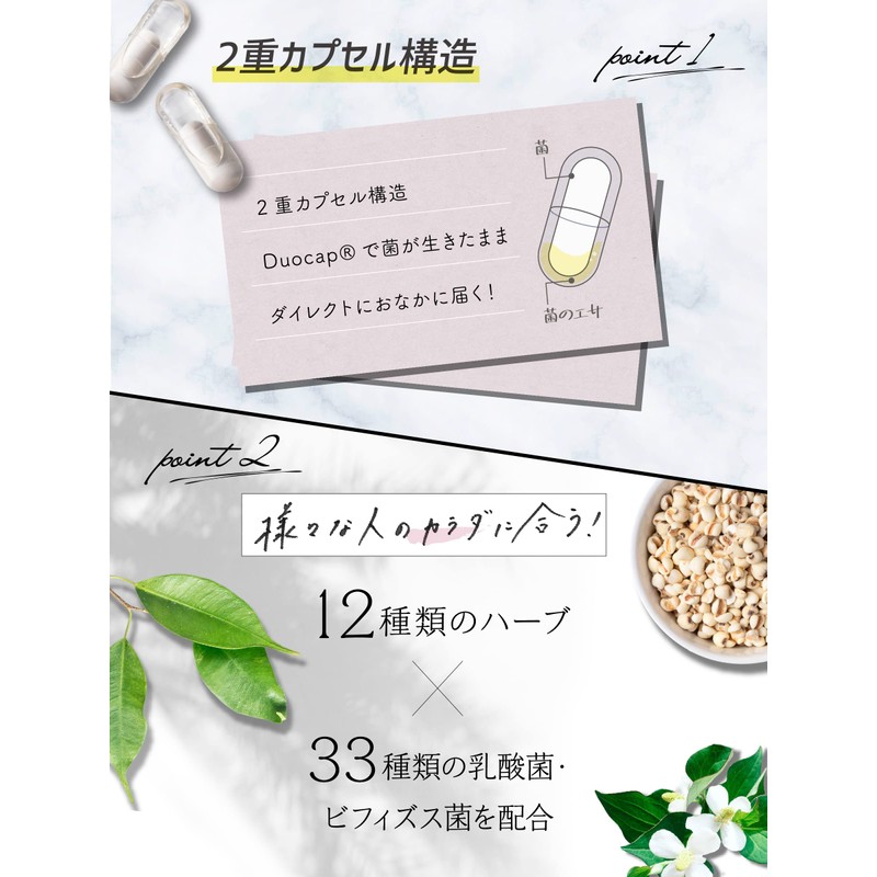 スマート菌スーパー 乳酸菌 サプリメント 菌活  2層カプセル 14粒