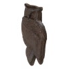 Cast Iron Metal Rustic Country Forest Nocturnal Owl Bird Door