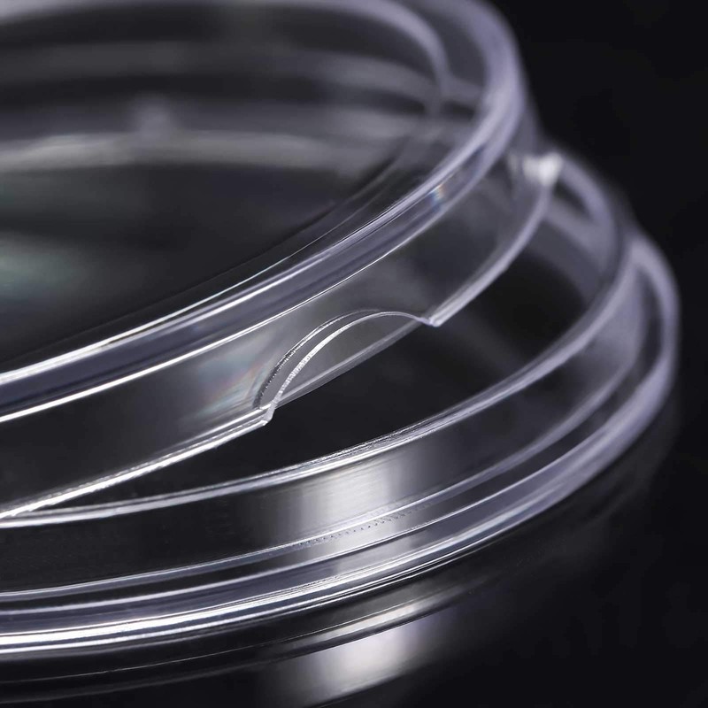 Hicarer 25mm Coin Holder Capsules Clear Round Plastic Coin Container