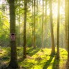 Sosoport 1 Set Night Vision Outdoor Scouting with Motion for