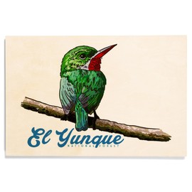 Lantern Press 12x18 Inch Premium Wood Sign, Ready to Hang Wall Decor, Puerto Rico, Tody, El Yunque National Forest