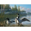 Cobble Hill Common Loons, A 1000 Piece Jigsaw Puzzle