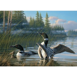 Cobble Hill Common Loons, A 1000 Piece Jigsaw Puzzle