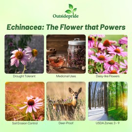 Outsidepride Purple Echinacea Coneflower Seeds - 1000 Pcs Perennial, Deer-Proof & Drought Tolerant Flower Seeds with Daisy-Like Blooms for Pollinator-Friendly Gardens, Borders, & Meadows