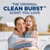 ARM & HAMMER Liquid Laundry Detergent Soap, Clean Burst, 200