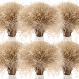 Wavwavw 800Pcs 17 Inch Natural Dried Pampas Grass Decor Bulk, Plume Brown Fluffy Pampas Grass Bouquet for Floor Vase, Wedding Floral Arrangements, Party, Farmhouse, Boho Home Decorations