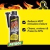 Nitrox Catalytic Converter Petrol Cleaner, 17 Fl Oz