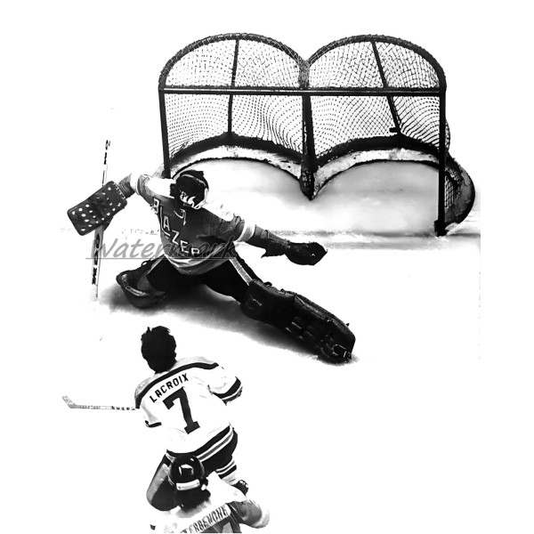 WHA Vancouver Blazers Goalie Don McLeod Game Action 8 X