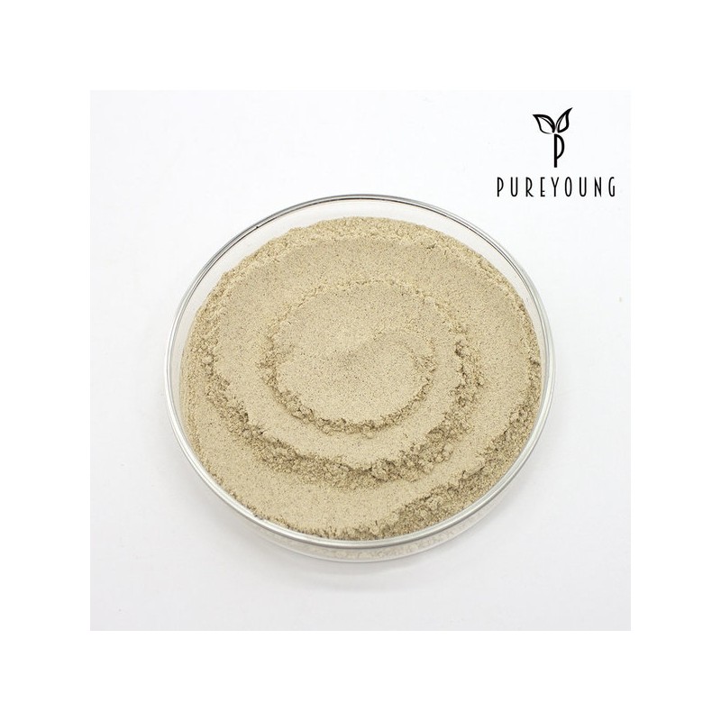 Antler mixed powder 100g+100g Russian deer antler / 녹용 혼합분말가루