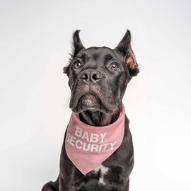 Dog Bandana | 100% Cotton Adjustable Triangle | Made in USA | New Baby | Pregnancy Announcement Photoshoot Prop | Gender Reveal | Hot Pink One Size (7)