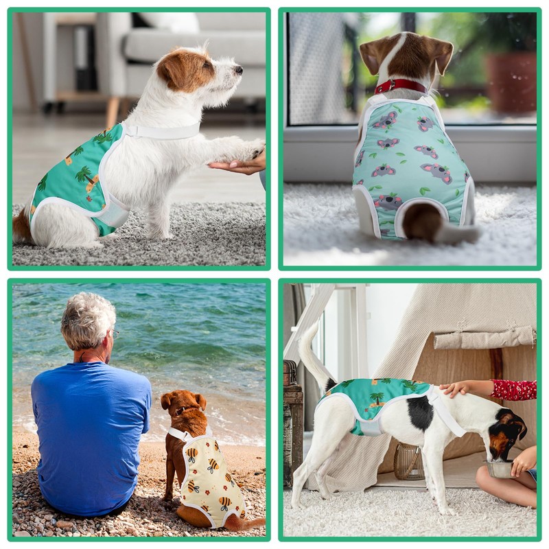 Jollywoods 3 Pack Washable Female Dog Diaper Onesie Sanitary Pantie