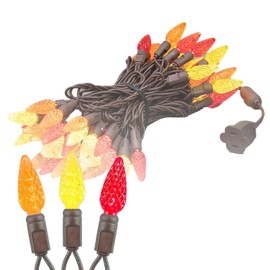 Novelty Lights 24FT C6 True Twinkle 70 LED Christmas String Lights, Fall Thanksgiving LED Lights Commercial Grade Outdoor String Lights, LED Fall Thanksgiving Lights (Yellow/Red/Orange)