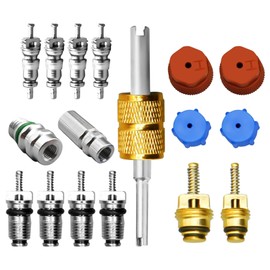HEWEIXH Air Conditioning Valve Core Kit AC R12 R134a with Remover Tool, Teflon Seal Refrigeration A/C Air Conditioning Service Valve Car & HVAC AC System Charging Port Seal Caps Kit